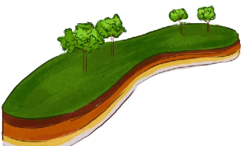 土壤大致可分为三层，分为了哪三层？